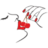 pecattus logo